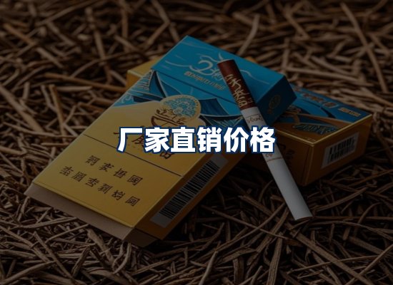 专业团队办公环境
